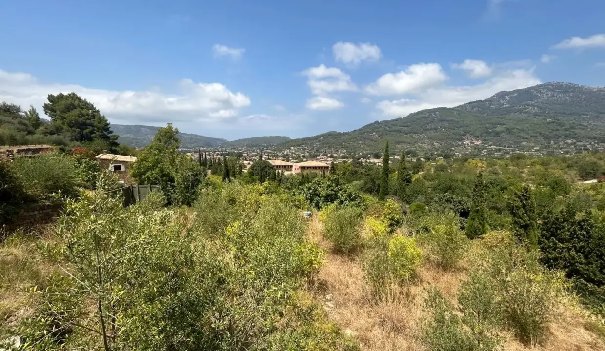 06c1cd91-0465-482c-8983-f4180bd7a7e4