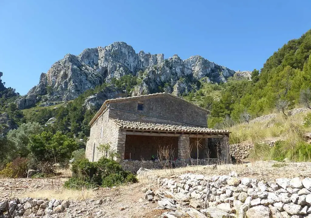 2016 (7)