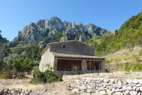 2016 (7)