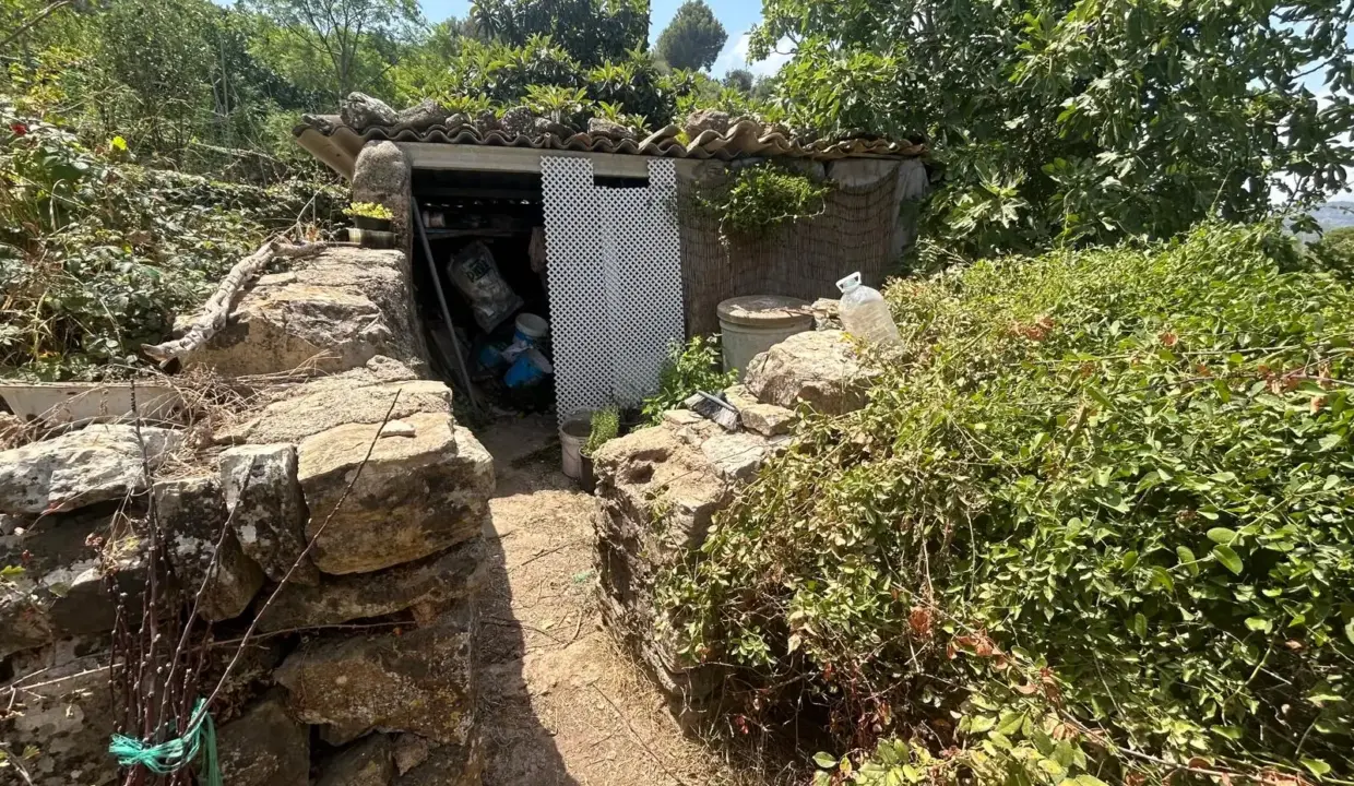 243fe61a-9d29-4622-bb9d-757ad883bcf7