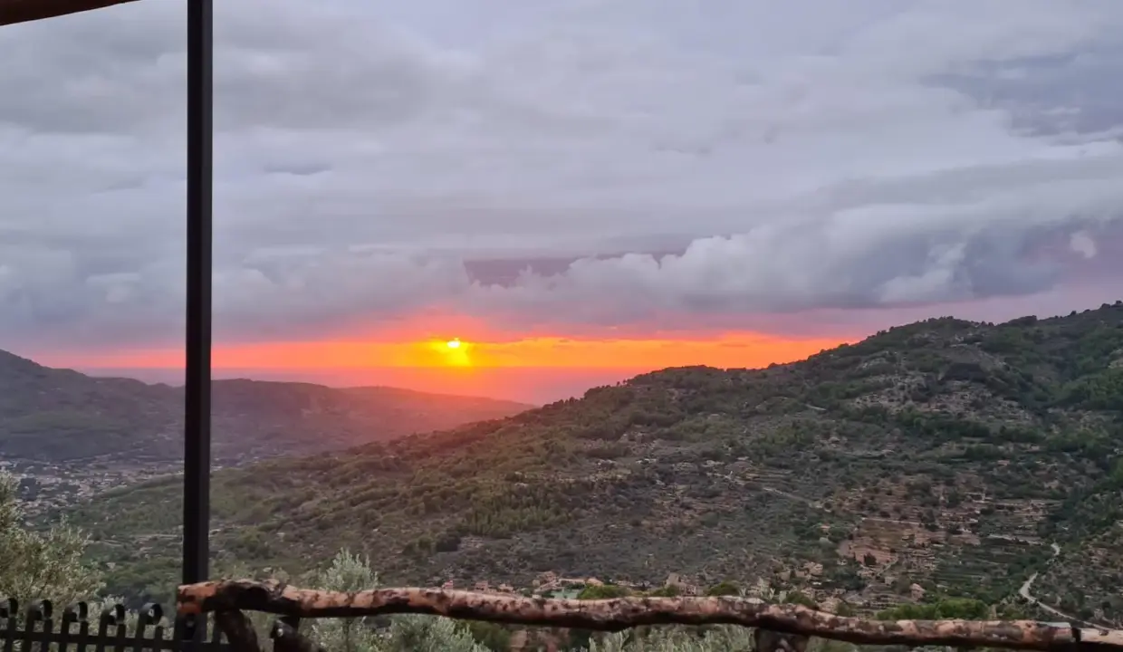 3b36918d-00e3-43d8-af59-25111fb26fa8