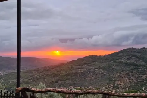 3b36918d-00e3-43d8-af59-25111fb26fa8