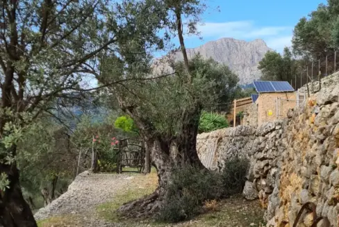 4df1b054-985f-4082-bab5-d56ce4431819