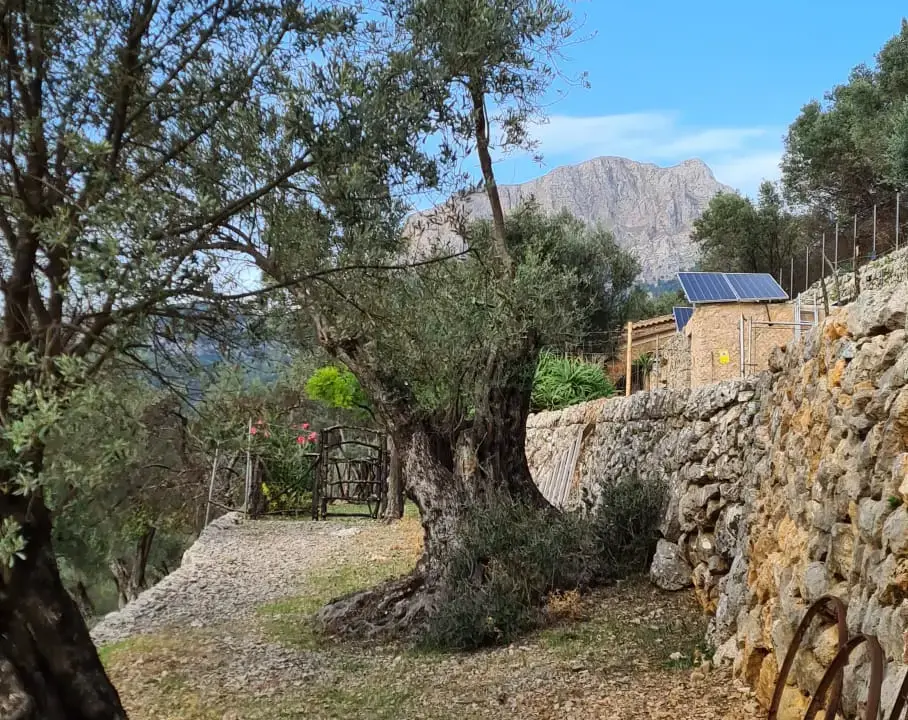 4df1b054-985f-4082-bab5-d56ce4431819