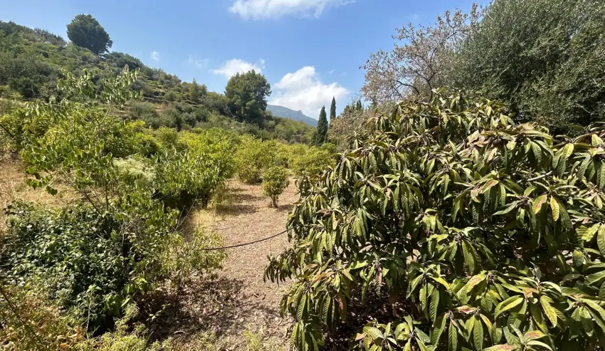 5f2d9a94-56da-458b-a738-56df61d4ae84