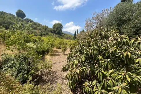 5f2d9a94-56da-458b-a738-56df61d4ae84