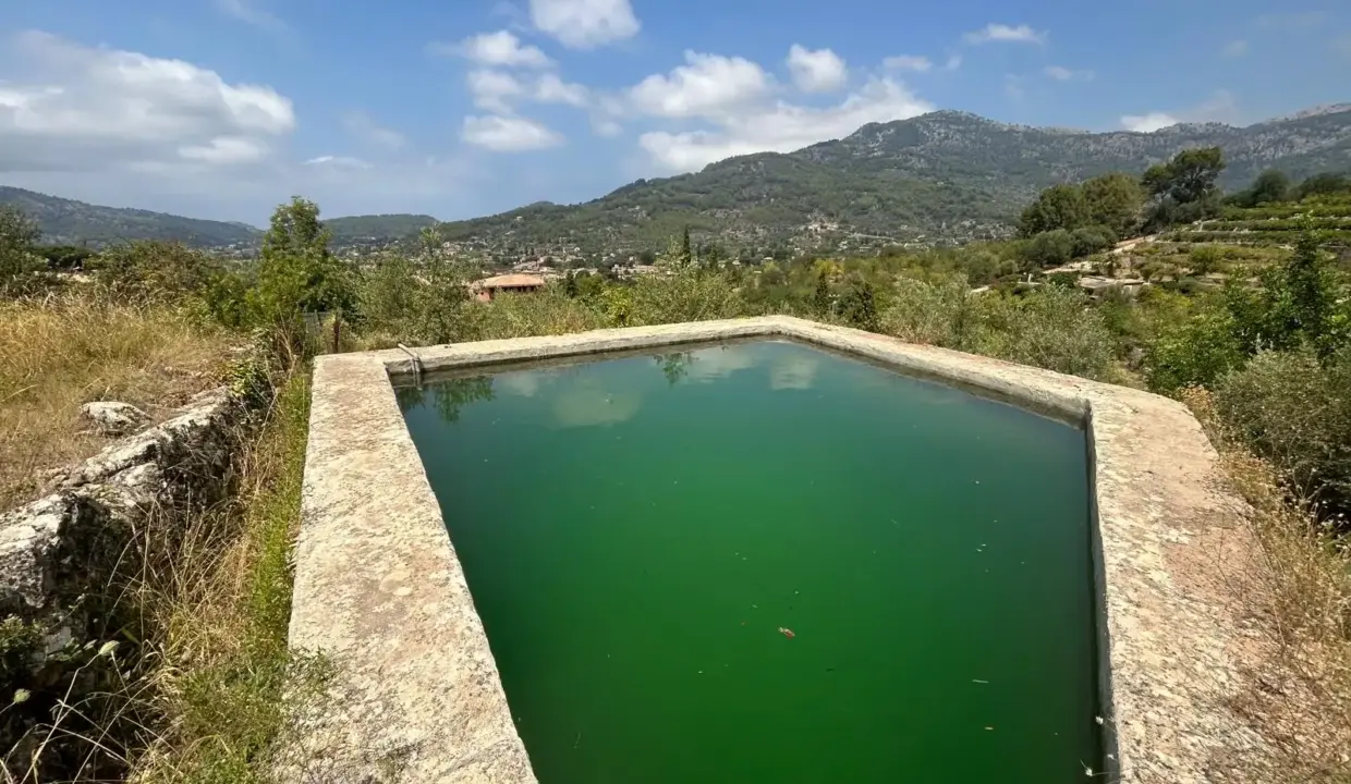 6b074892-a533-4b10-8a65-f7fb5ab36b07