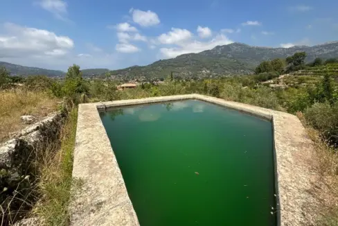 6b074892-a533-4b10-8a65-f7fb5ab36b07