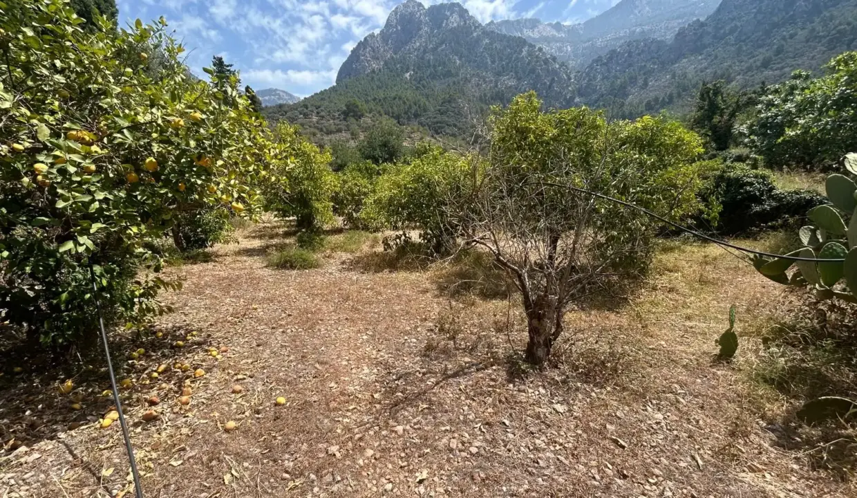 8c736551-ab11-43a6-a804-3bfaa70fabbb