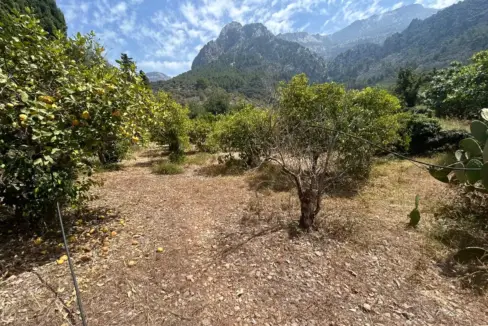 8c736551-ab11-43a6-a804-3bfaa70fabbb