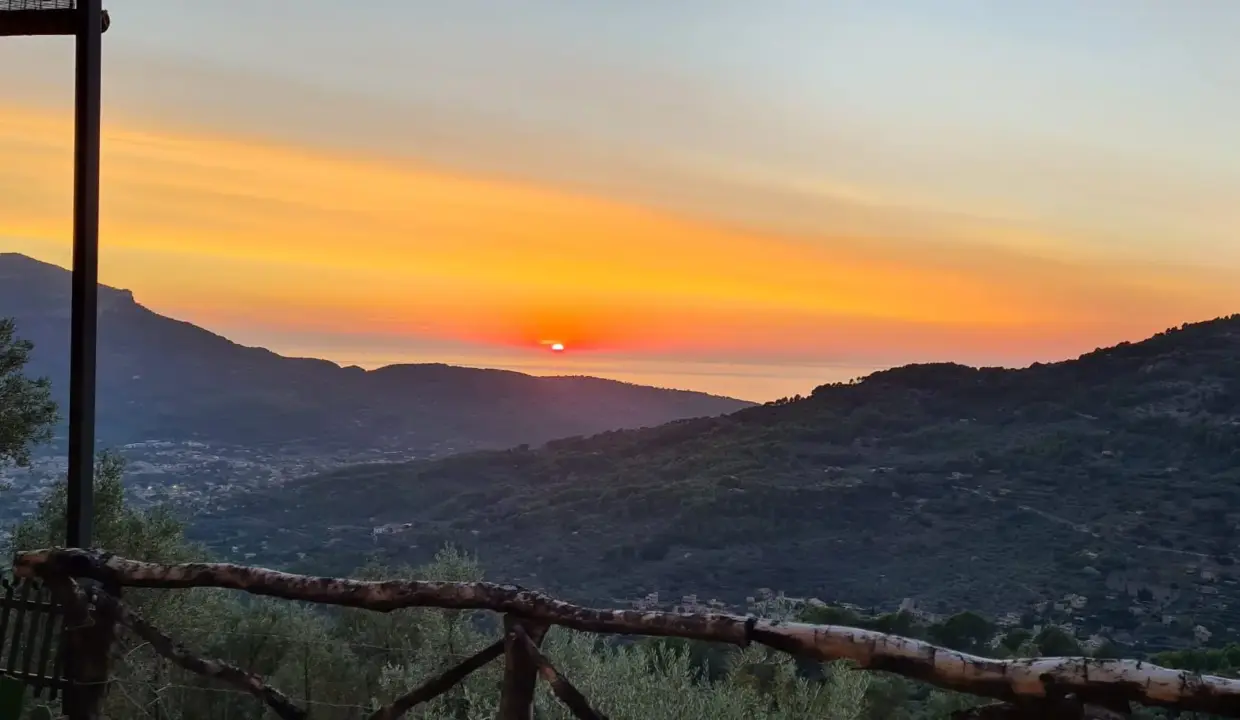 8d516812-7ffa-4626-b6fa-f77f4e3cc17c-copia