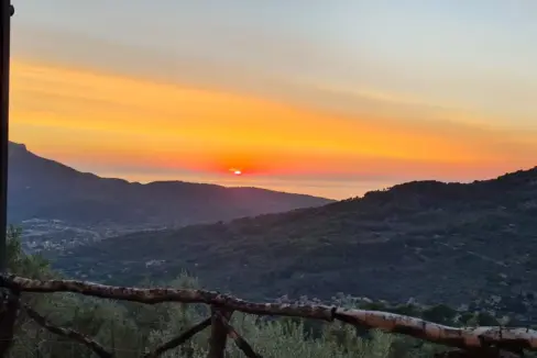 8d516812-7ffa-4626-b6fa-f77f4e3cc17c-copia