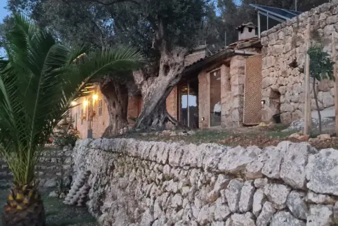 9fe09b0b-9d8c-4101-aa43-6ae662be0ee3-1