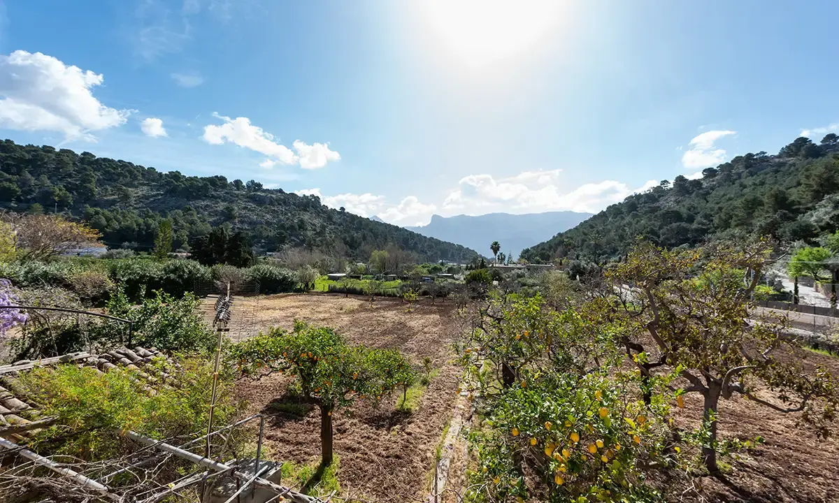 Port-Soller-PRINT-13