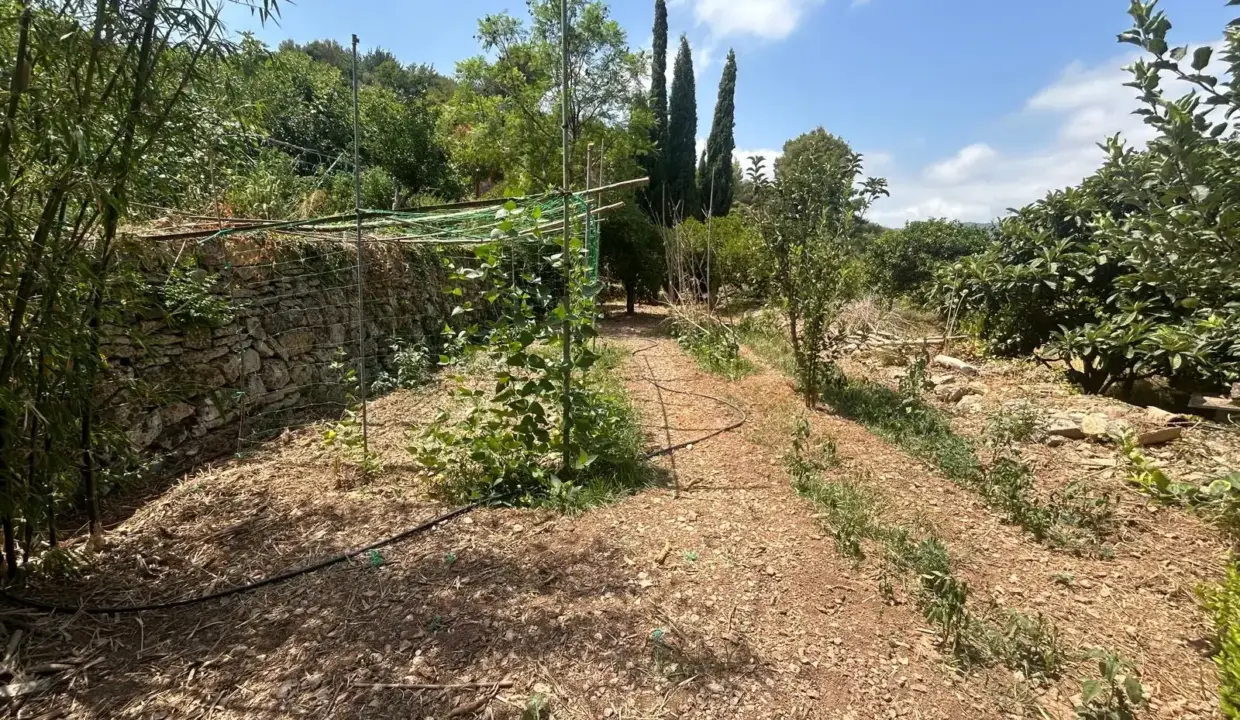 b1dd7f2e-3959-4819-9a49-6d1c574d89f6