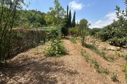 b1dd7f2e-3959-4819-9a49-6d1c574d89f6