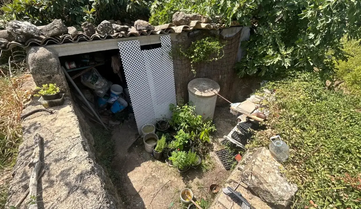 ee785447-0ba5-4889-9454-88c69ee50cd1